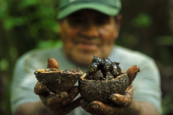 Lima Expresa apoya un nuevo programa de conservación forestal en la amazonia peruana