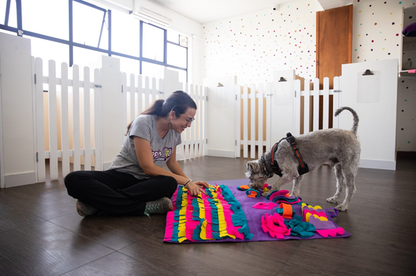 Un hotel para tu mascota