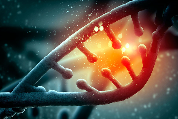 La edición genética logra ampliar la supervivencia en ratones con atrofia muscular espinal
