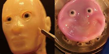 Investigadores japoneses desarrollan robot facial con piel 'viva' hecha de células humanas