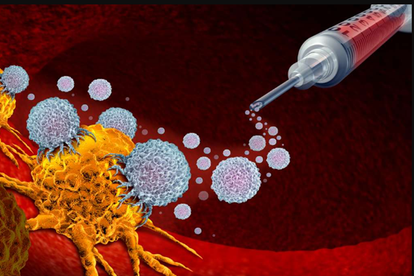 Los estrógenos disminuyen la capacidad del sistema inmunitario para combatir el cáncer