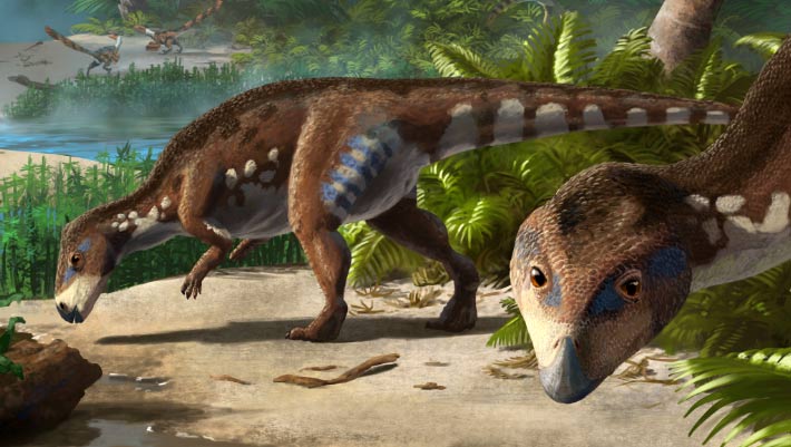 Descubren una nueva especie de dinosaurio enano que habitó en Transilvania