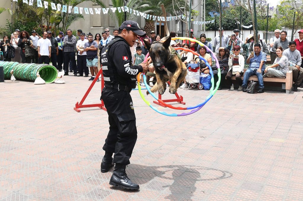 Fiestas Patrias: Brigada Canina de Miraflores presentará show gratuito para grandes y chicos en parques