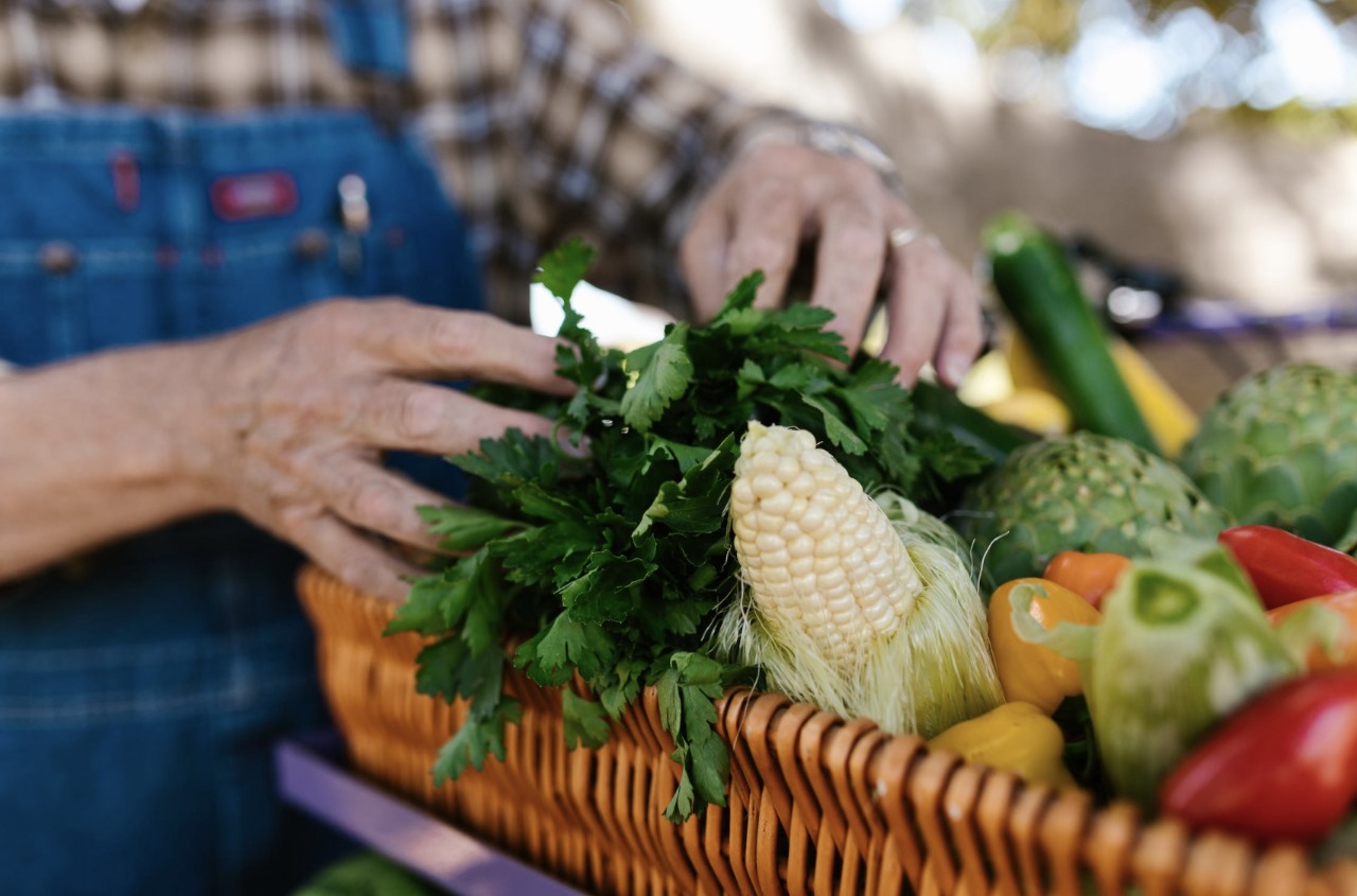 Día Internacional Sobre la Pérdida y Desperdicio de Alimentos: 5 consejos para evitarlo en casa