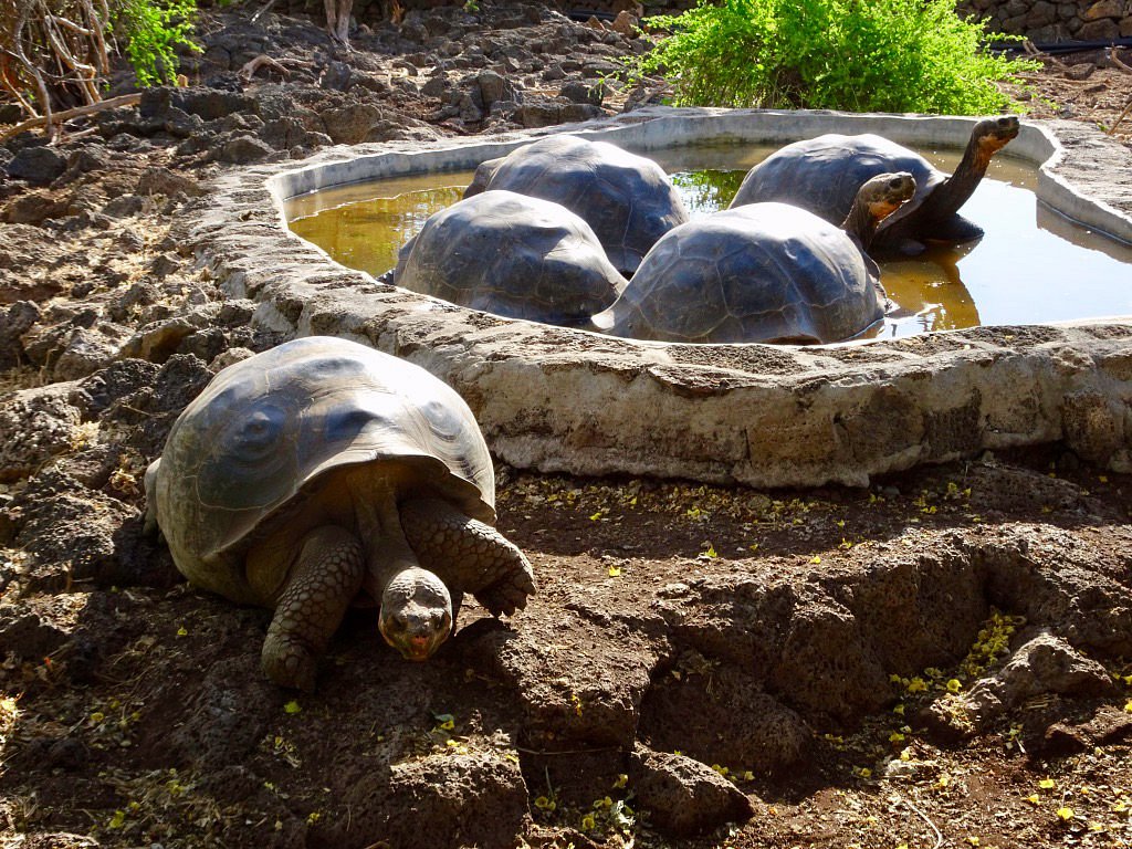 Fundación Charles Darwin presenta nueva estrategia para la protección de Islas Galápagos