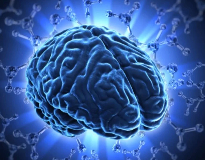Muestran por primera vez las vías del cerebro para eliminar sus residuos