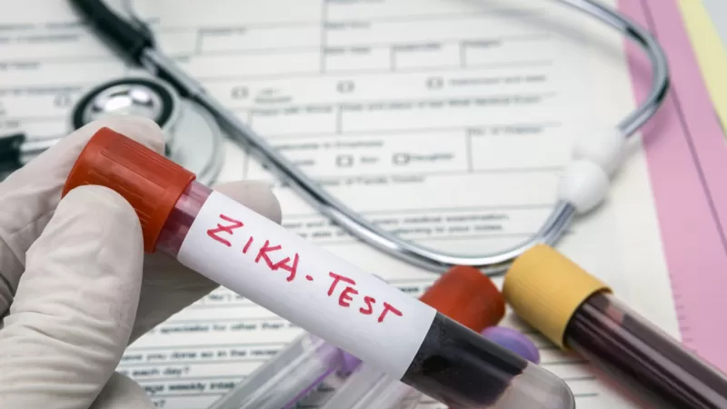 El virus del Zika es eficaz para tratar, en ratones, un tipo de cáncer infantil