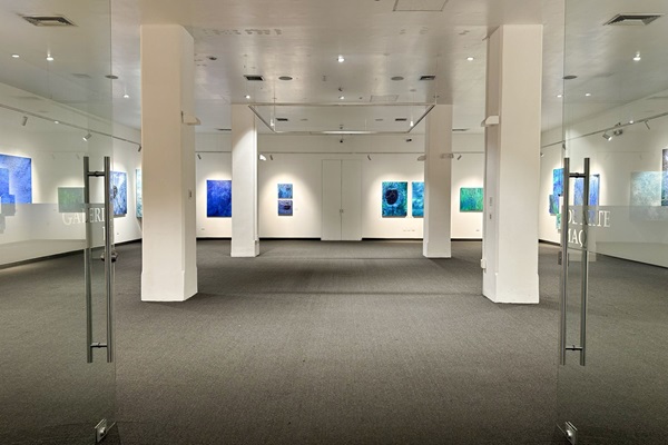 Artista plástico Manuel Elguera Diez-Canseco expone
