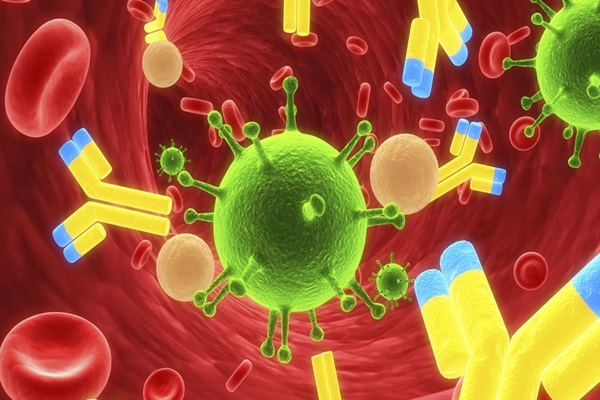 Las células del cáncer usan las proteínas del cuerpo para ocultarse de sistema inmunitario