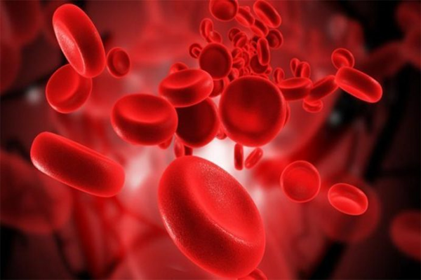 Crean células madre sanguíneas, lo que podría personalizar el tratamiento de la leucemia