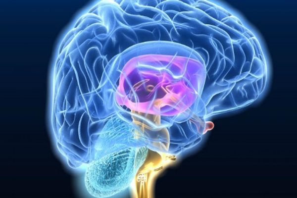 Un marcapasos cerebral personalizado reduce los síntomas en pacientes con parkinson