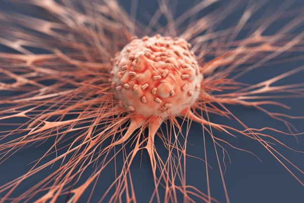 Descubren una nueva población de células inmunitarias que favorece la reparación pulmonar