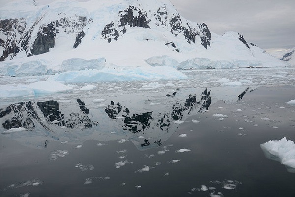 Greenpeace descubre nuevos ecosistemas marinos en la Antártida