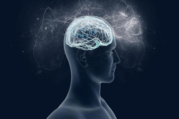 El cerebro se actualiza para acostumbrarse a lo inesperado