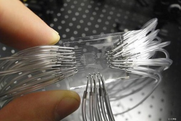Desarrollan chip para detectar tumores en 30 minutos