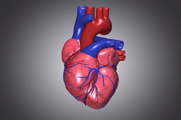 Primera operación cardiaca con células madre se realizará en Japón