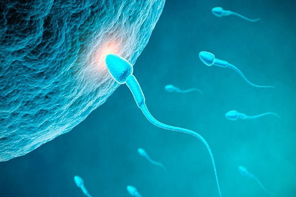 Científicos comparan espermatozoides con un 