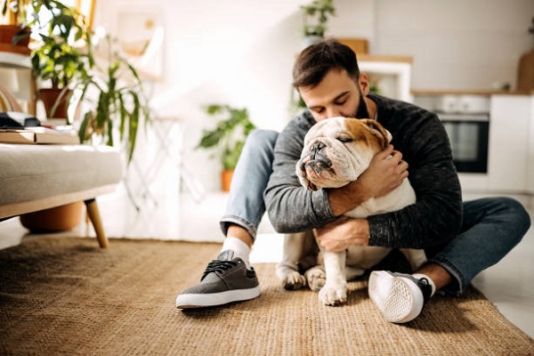 El perro, 'mejor amigo' del hombre desde hace más de 10.000 años