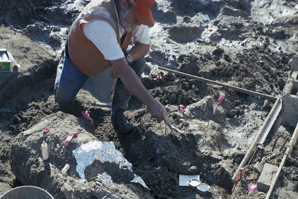 La vida en la Tierra se habría originado hace más de 3.500 millones de años