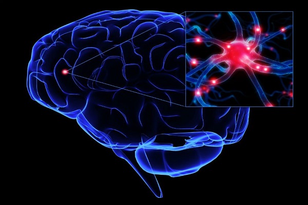Imágenes 3D del interior de neuronas ayudan a avanzar en la enfermedad de ELA