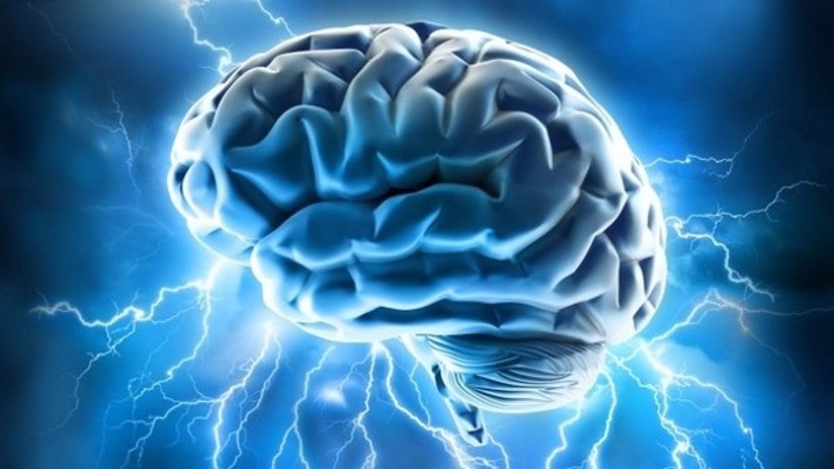 Descubren el 'punto caliente' del cerebro donde se produce el envejecimiento