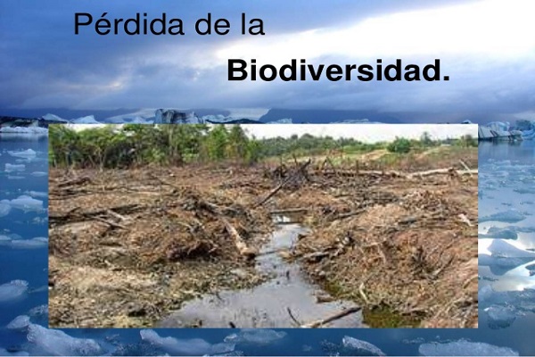 La pérdida de biodiversidad precipita la extinción humana