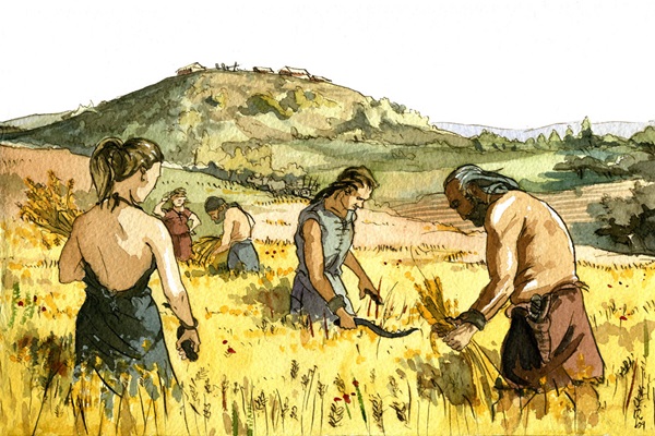 Los primeros hominidos del Pleistoceno medio ya procesaban alimentos vegetales