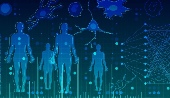 El atlas de todos los tipos de células humanas consigue nuevas piezas clave