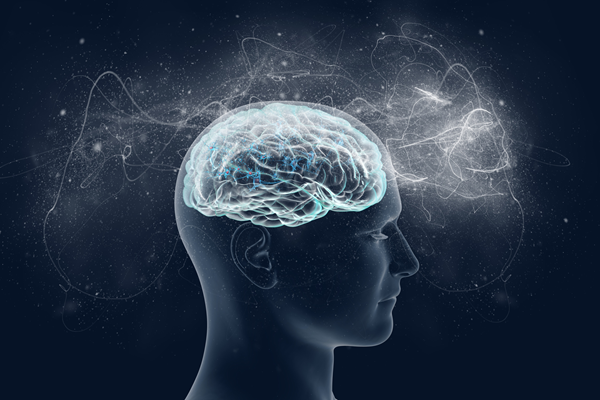 La ciencia identifica qué ocurre en el cerebro mientras se ve una película